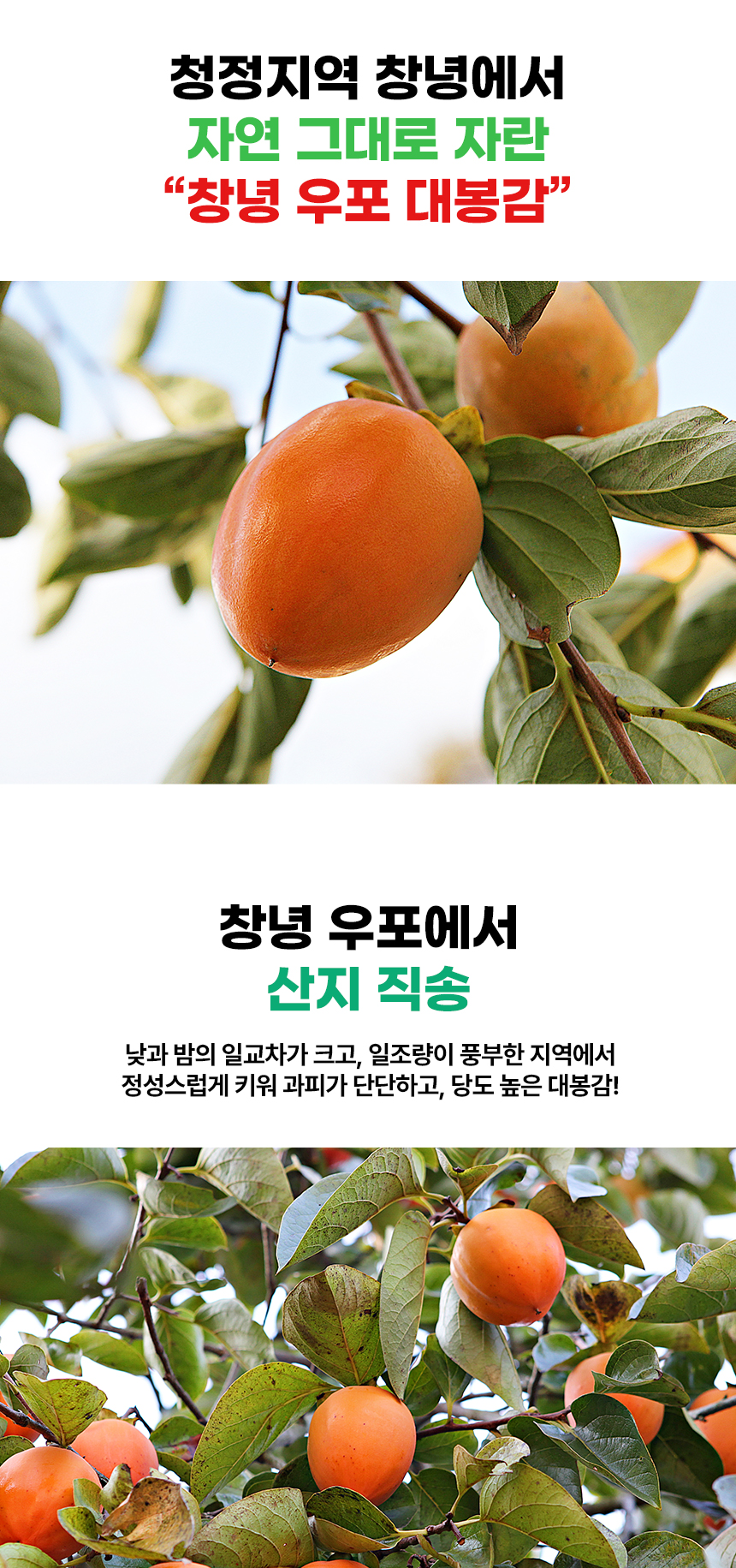 ab59ece46d449140254b65ebd786e612_1731488156_8643.jpg ab59ece46d449140254b65ebd786e612_1731488156_8643.jpg