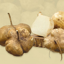 금오산농장 부자농부 국내산 히카마 얌빈 멕시코감자 5kg, 10kg 2024년산