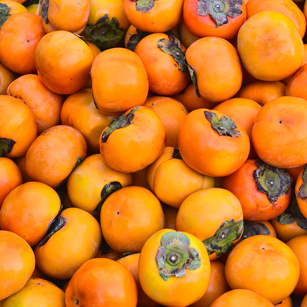 11월 한정판매 창녕 우포 햇 단감 10KG