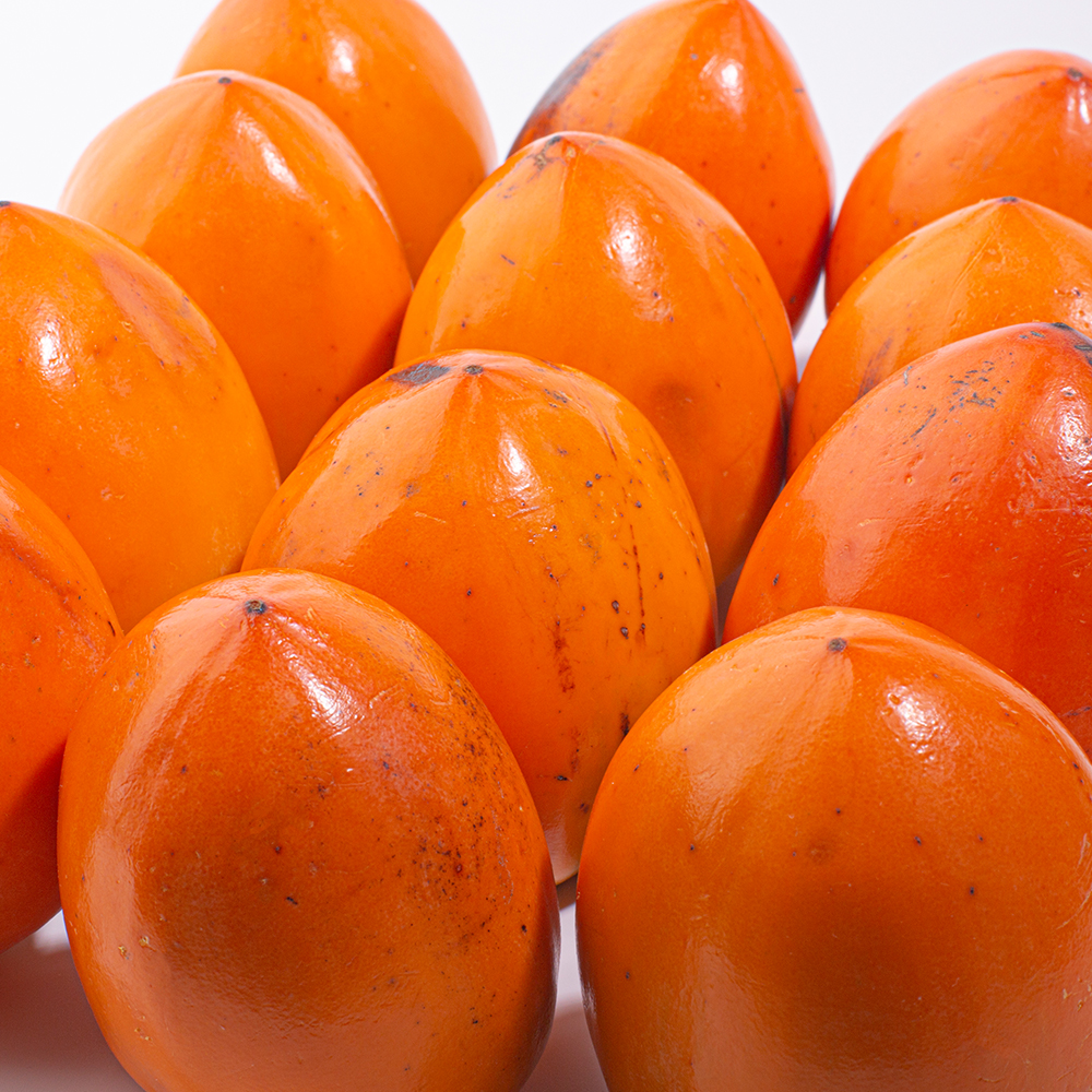 11월 한정판매 창녕 우포 햇 대봉감 10KG